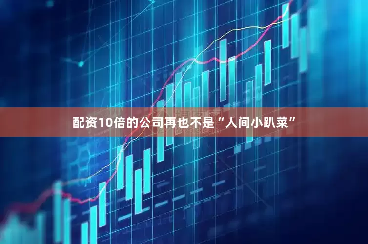配资10倍的公司再也不是“人间小趴菜”